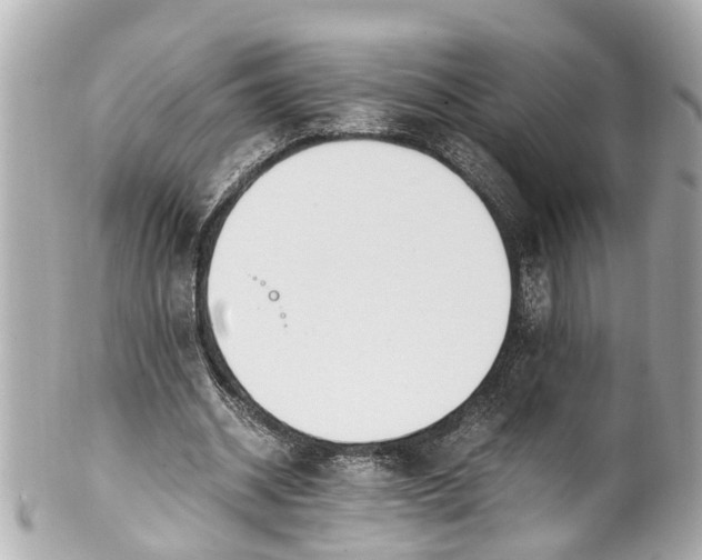 X0000101680534200807311521