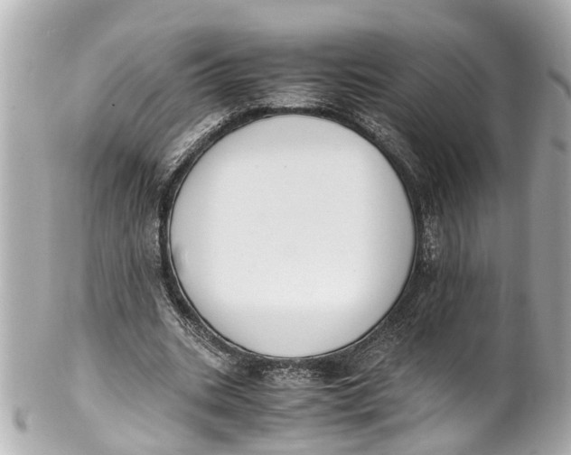 X0000101680535200807311521