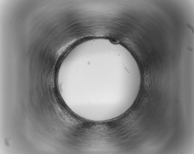 X0000101680536200807311521