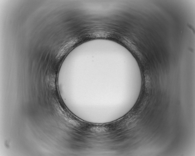 X0000101680537200807311521