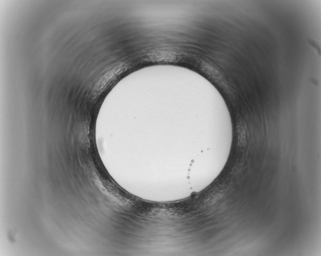 X0000101680538200807311521