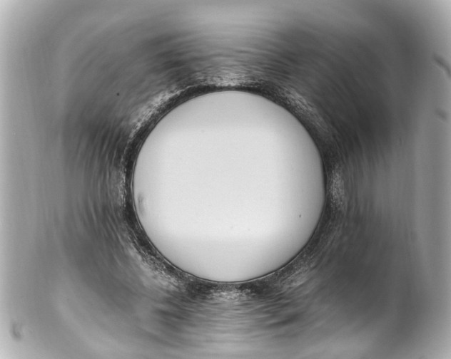 X0000101680540200807311521