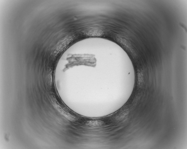 X0000101680541200807311521