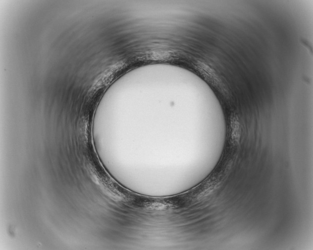 X0000101680542200807311521