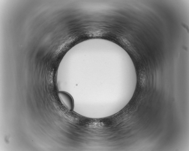 X0000101680543200807311521