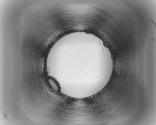 X0000101680544200807311521