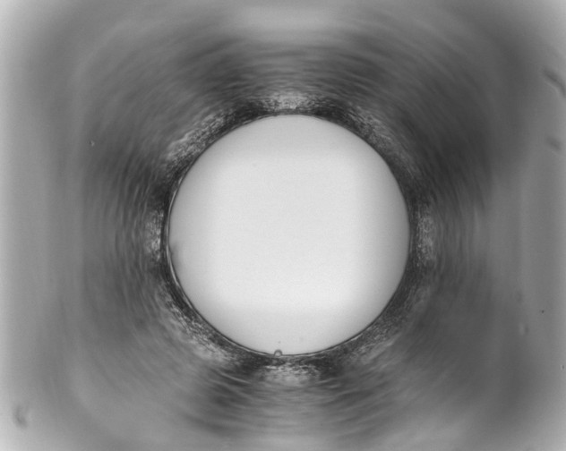 X0000101680545200807311521