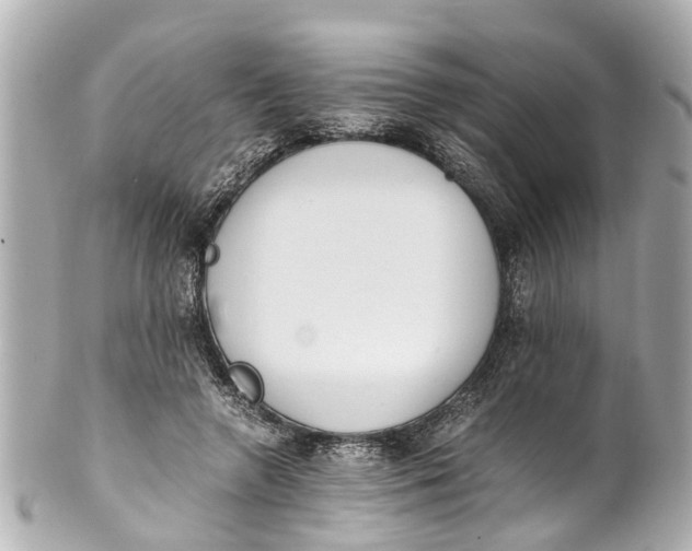 X0000101680546200807311521