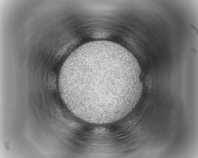 X0000101680547200807311521