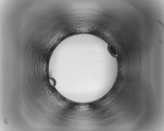 X0000101680548200807311521