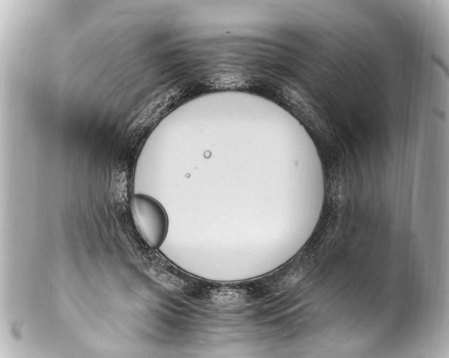 X0000101680549200807311521