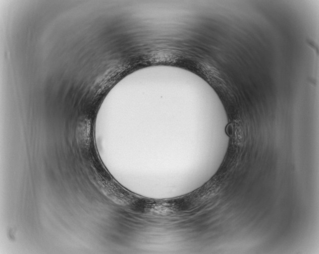 X0000101680550200807311521