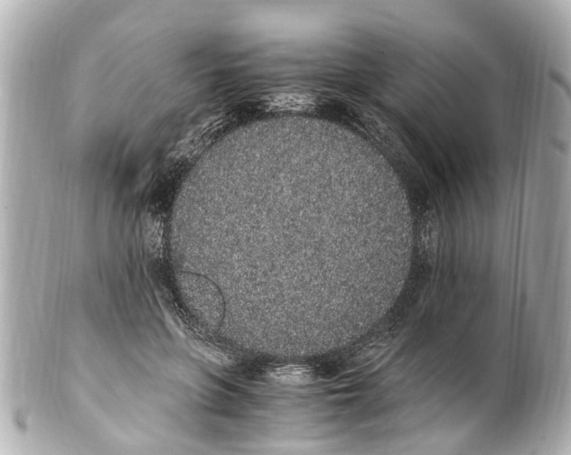 X0000101680551200807311521