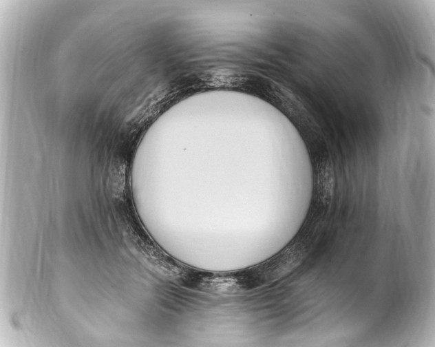 X0000101680554200807311521