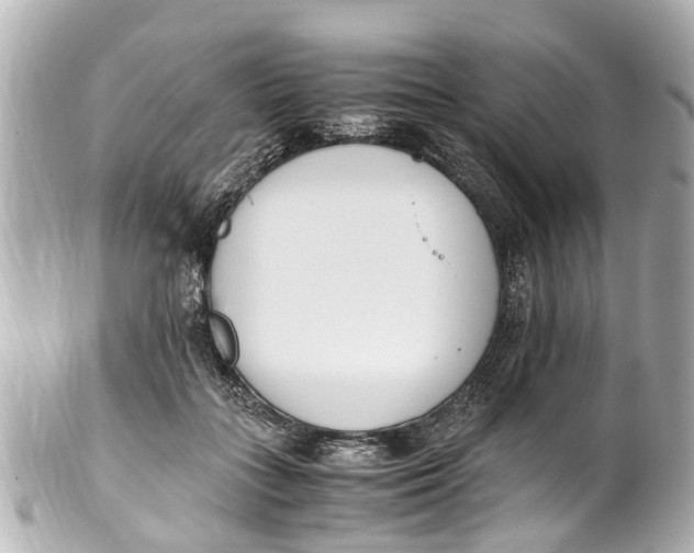 X0000101680555200807311521