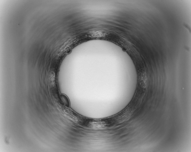 X0000101680556200807311521