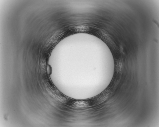 X0000101680557200807311521