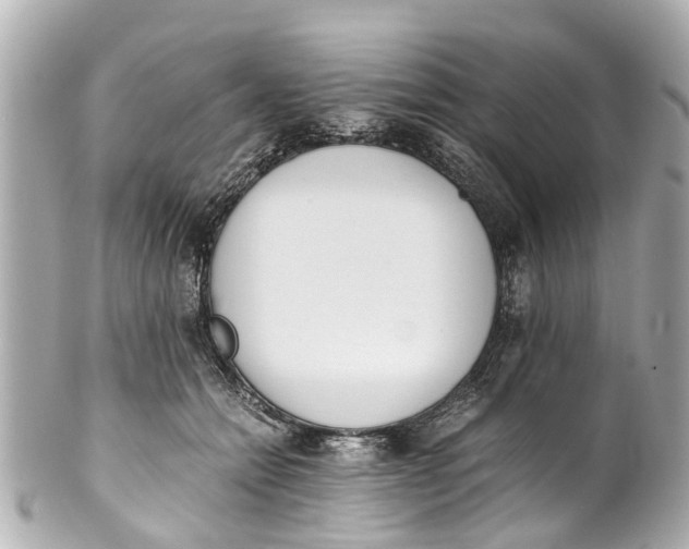 X0000101680558200807311521