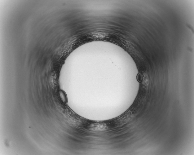 X0000101680559200807311521