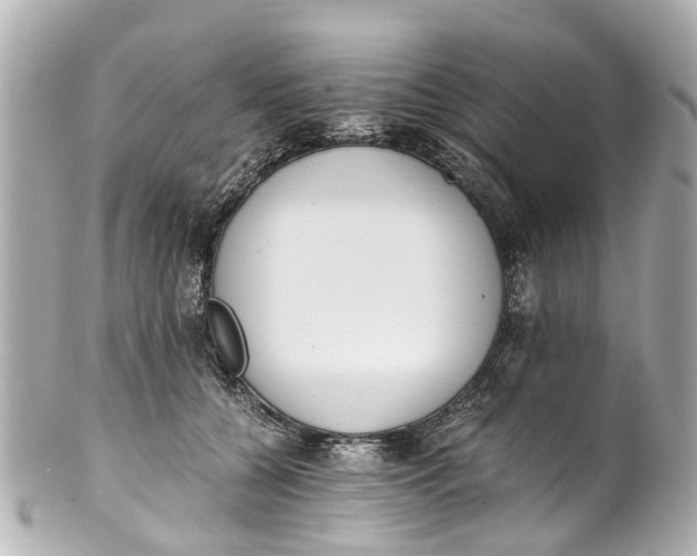 X0000101680560200807311521