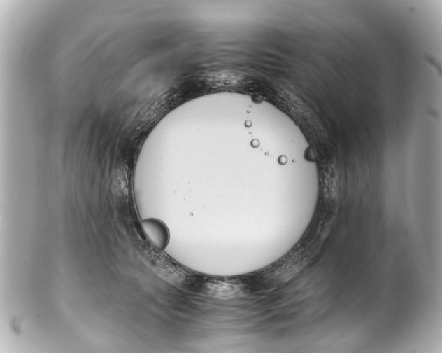 X0000101680561200807311522