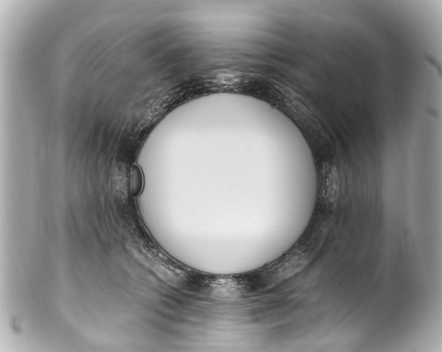 X0000101680562200807311522