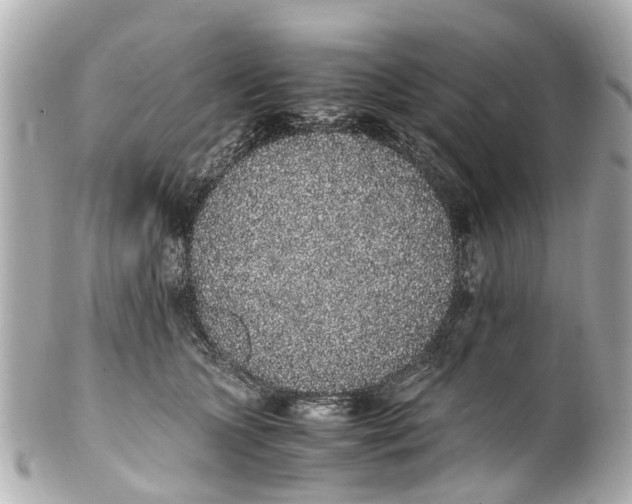 X0000101680563200807311522