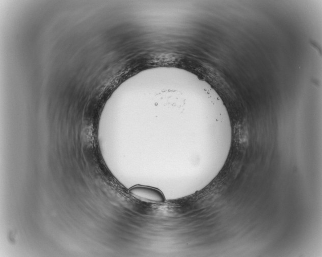 X0000101680564200807311522