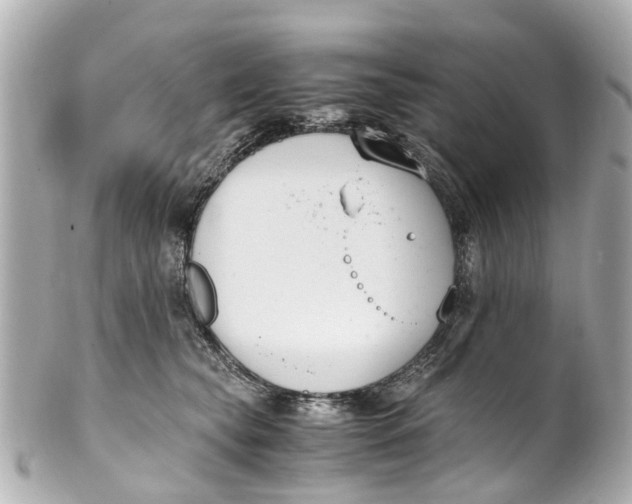 X0000101680565200807311522