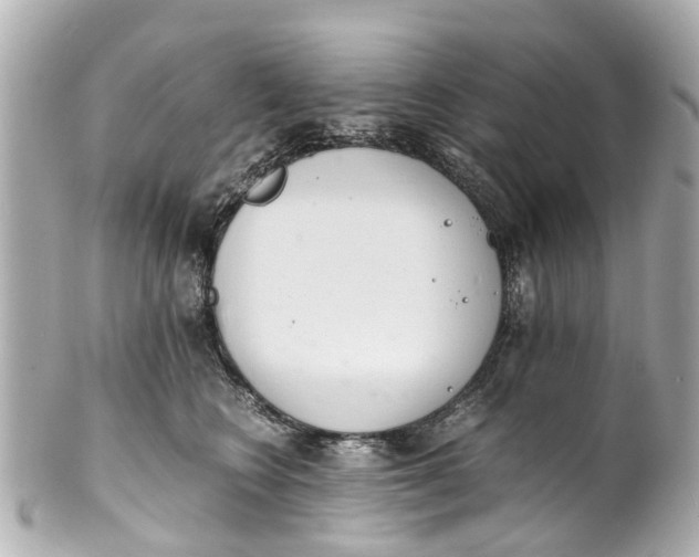 X0000101680566200807311522