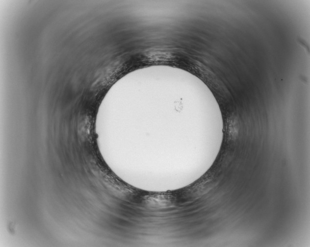 X0000101680567200807311522