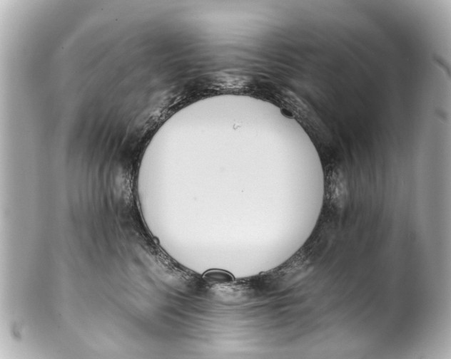 X0000101680568200807311522