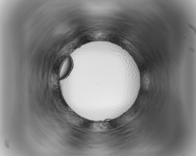 X0000101680571200807311522