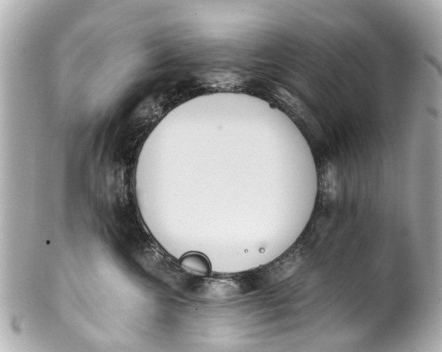 X0000101680572200807311522