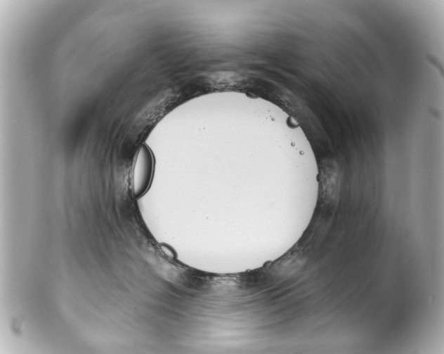 X0000101680574200807311522