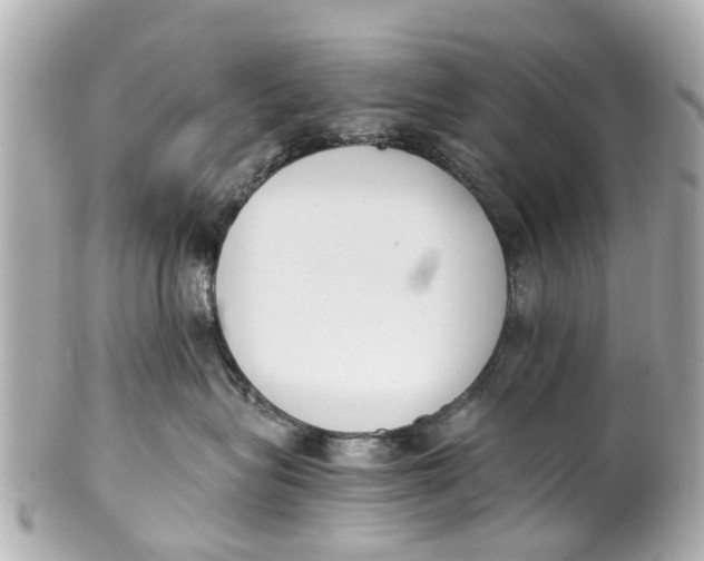 X0000101680575200807311522