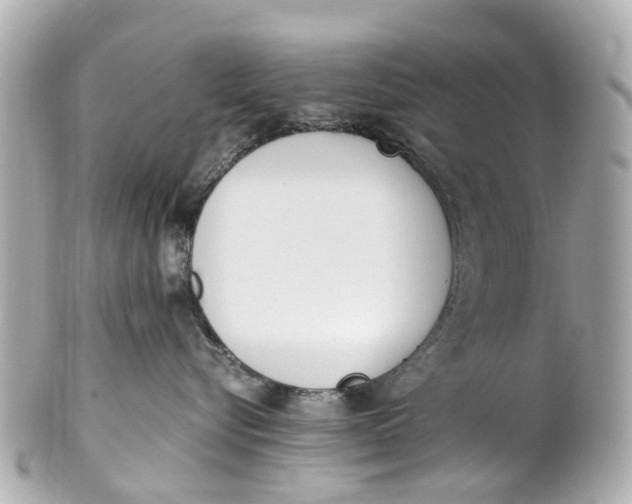 X0000101680576200807311522