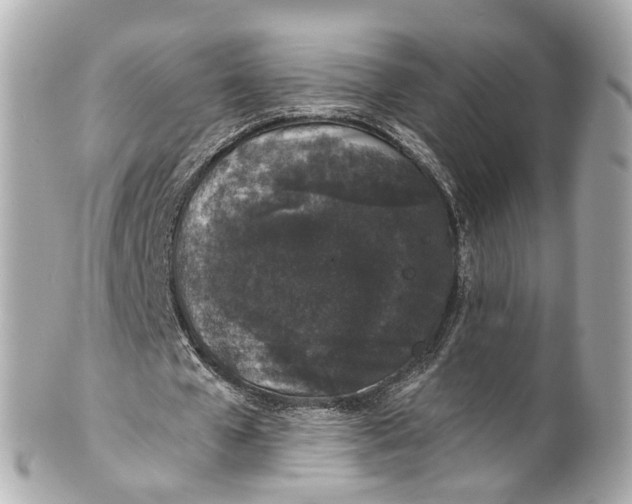 X0000101680577200807311521