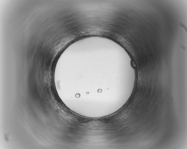 X0000101680578200807311521