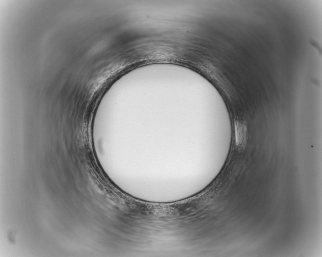 X0000101680579200807311521