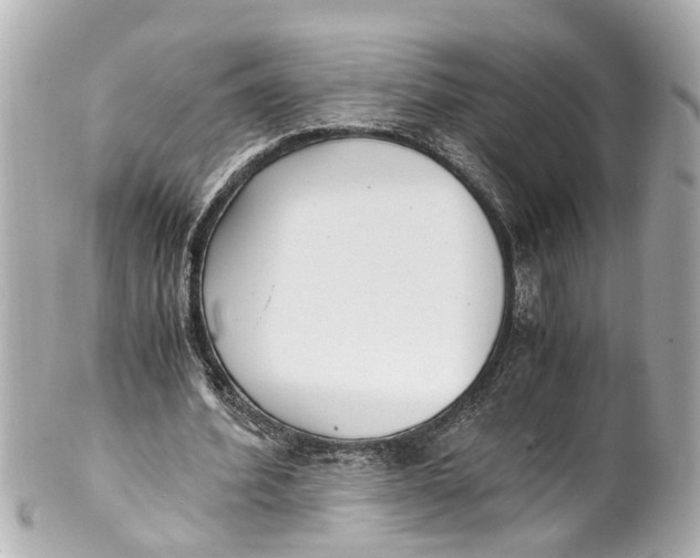 X0000101680580200807311521