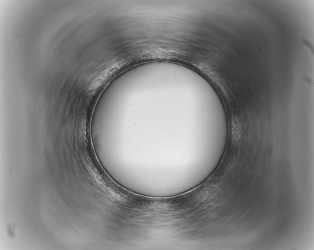 X0000101680581200807311521