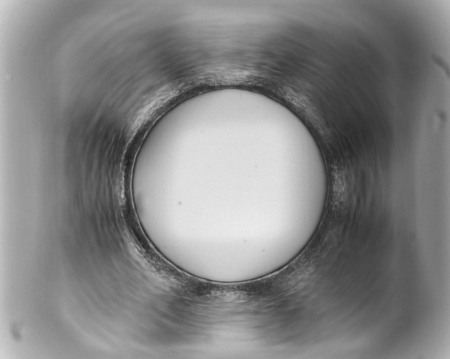 X0000101680582200807311521