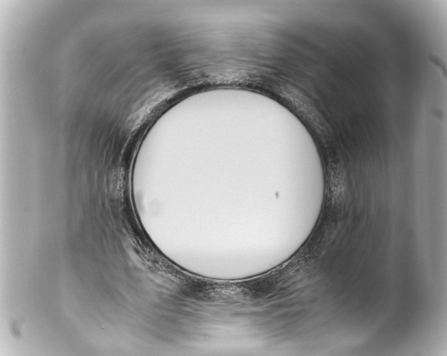 X0000101680583200807311521