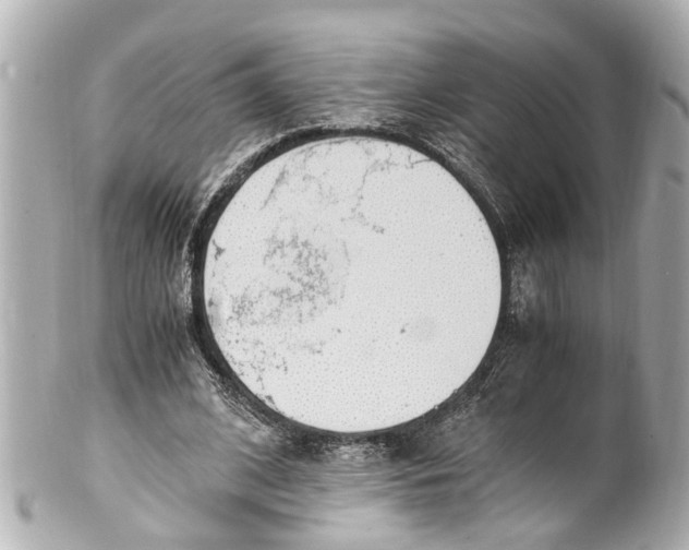 X0000101680584200807311521