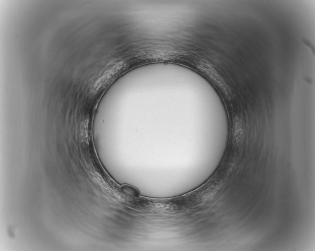 X0000101680585200807311521