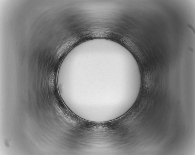 X0000101680586200807311521