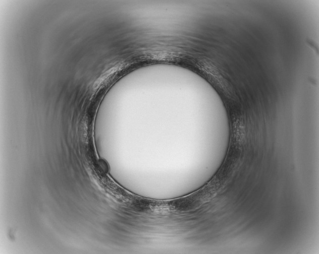 X0000101680587200807311521