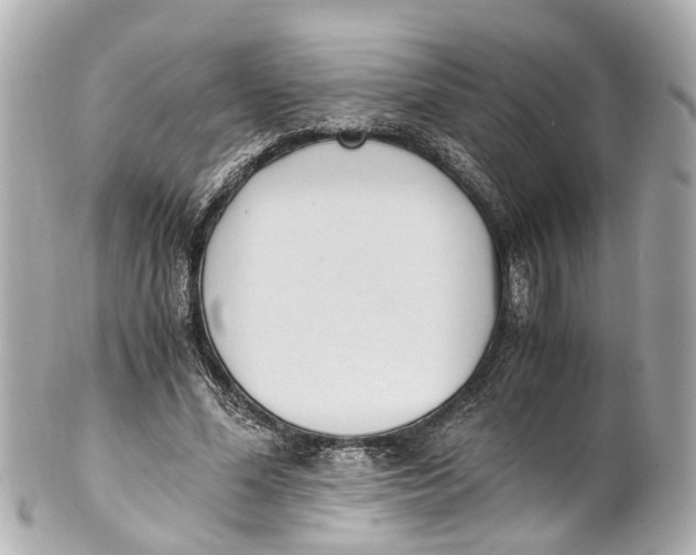 X0000101680588200807311521