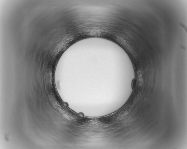 X0000101680589200807311521